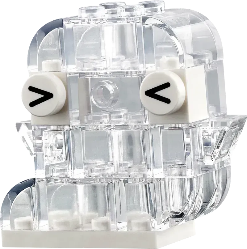 LEGO Transparente Box 11040 Classic