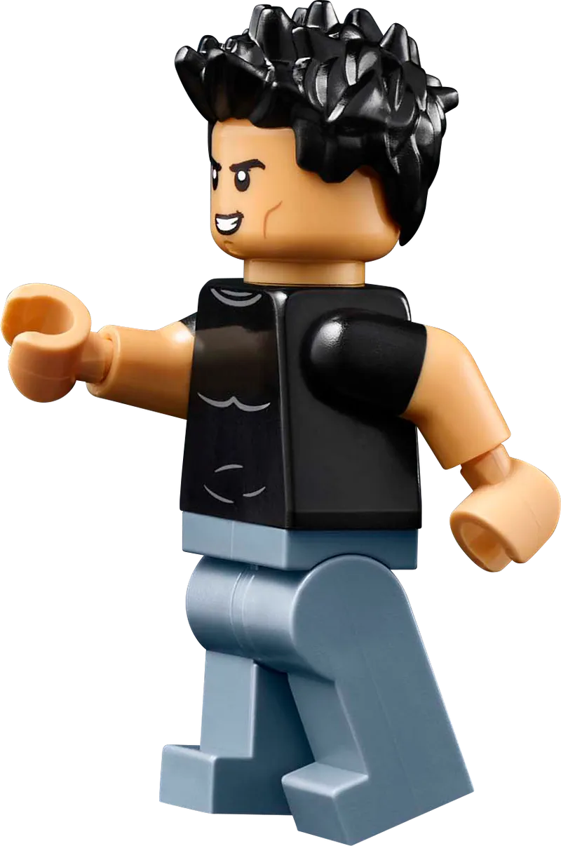 LEGO Twilight: Das Haus der Cullens 21354 Ideen
