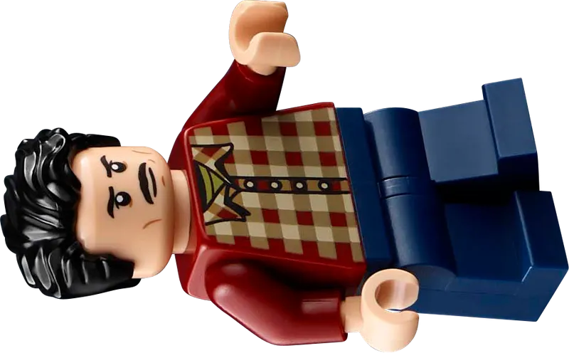 LEGO Twilight: Das Haus der Cullens 21354 Ideen