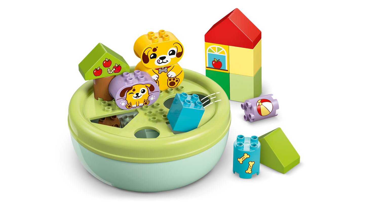 LEGO 77241 (Pre-Order: March 2025)
