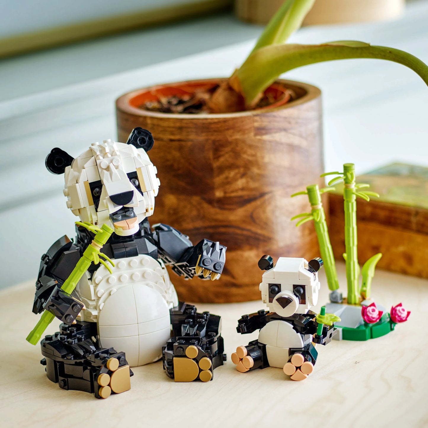 LEGO Wild Animals: Panda Family 31165 Creator 3-in-1 (expected: January 2025)