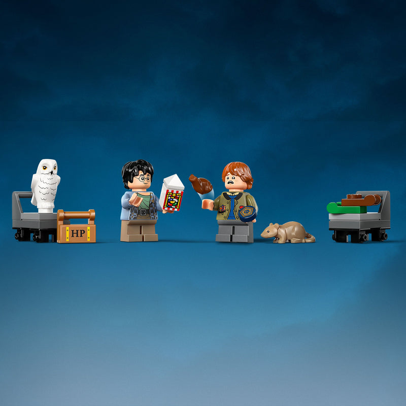 LEGO 77241 (Pre-Order: March 2025)