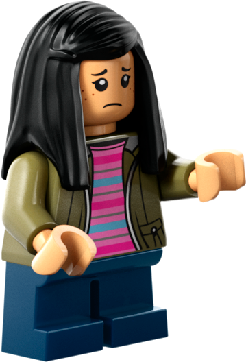 LEGO 77241 (Pre-Order: March 2025)