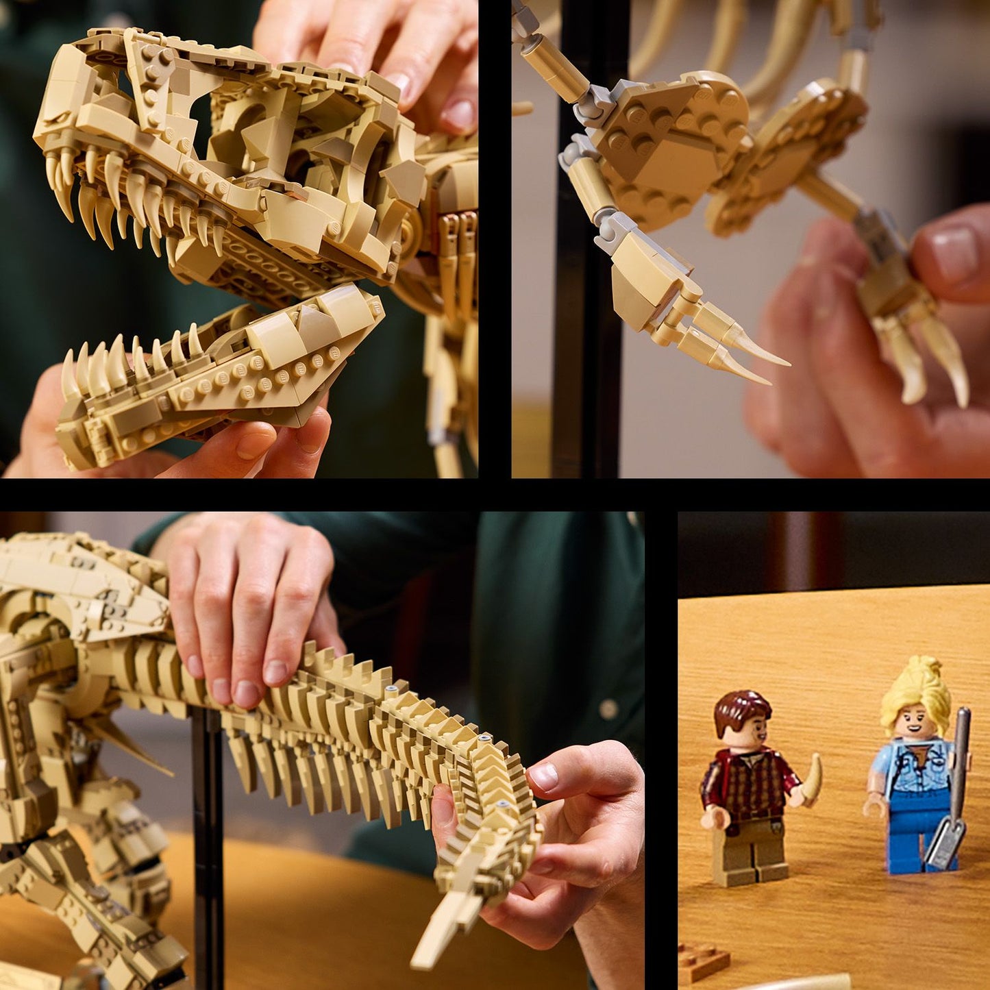 LEGO T. rex Skelet 76968 Jurassic World