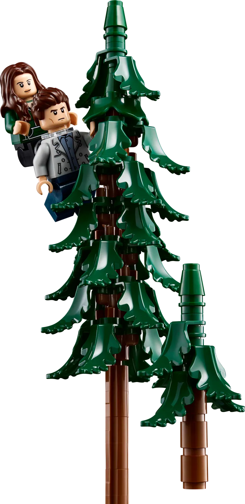LEGO Twilight: Das Haus der Cullens 21354 Ideen