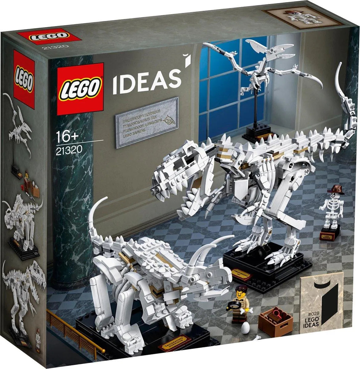 LEGO Dinosaurus fossielen 21320 Ideas LEGO IDEAS @ 2TTOYS | Official LEGO shopšš„° LEGO ā¬. 109.99