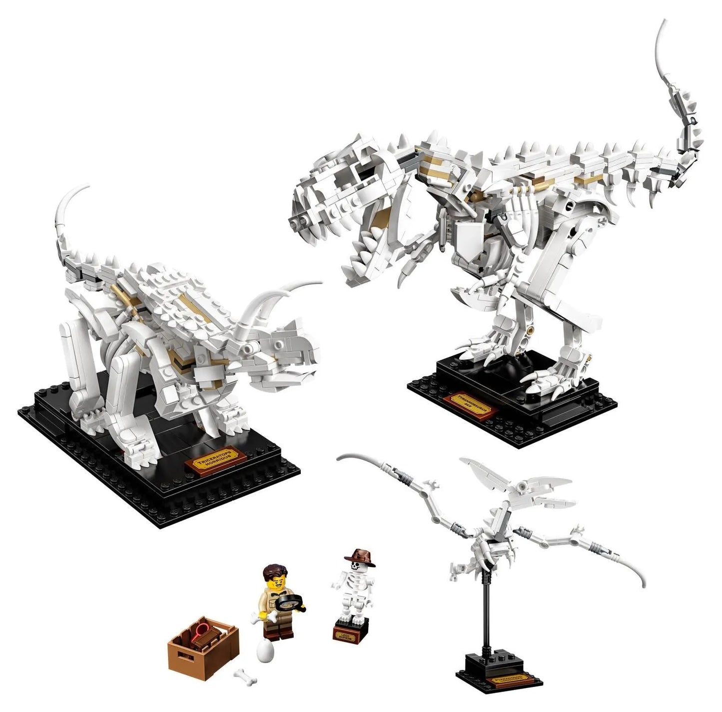 LEGO Dinosaurus fossielen 21320 Ideas LEGO IDEAS @ 2TTOYS | Official LEGO shopšš„° LEGO ā¬. 109.99