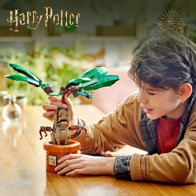 LEGO Mandragora 76433 Harry Potter (Pre-Order: verwacht juni) LEGO HARRY POTTER @ 2TTOYS LEGO ā¬. 59.49