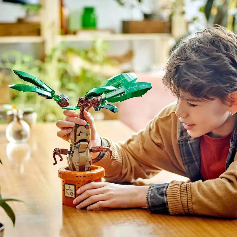 LEGO Mandragora 76433 Harry Potter (Pre-Order: verwacht juni) LEGO HARRY POTTER @ 2TTOYS LEGO ā¬. 59.49