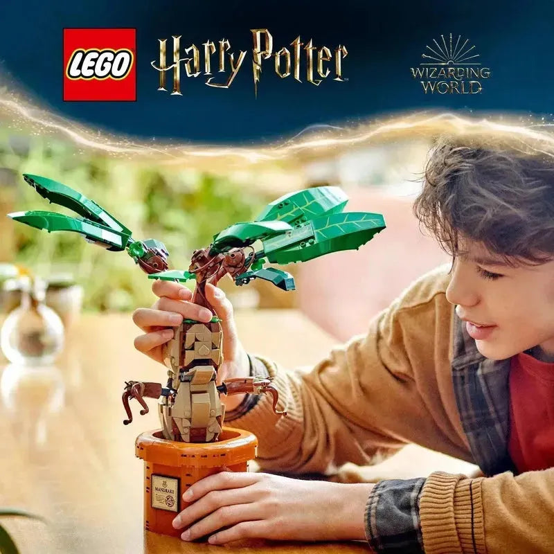 LEGO Mandragora 76433 Harry Potter (Pre-Order: verwacht juni) LEGO HARRY POTTER @ 2TTOYS LEGO ā¬. 59.49