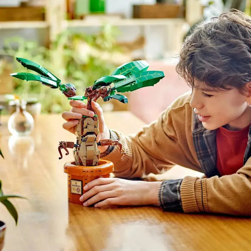 LEGO Mandragora 76433 Harry Potter (Pre-Order: verwacht juni) LEGO HARRY POTTER @ 2TTOYS LEGO ā¬. 59.49