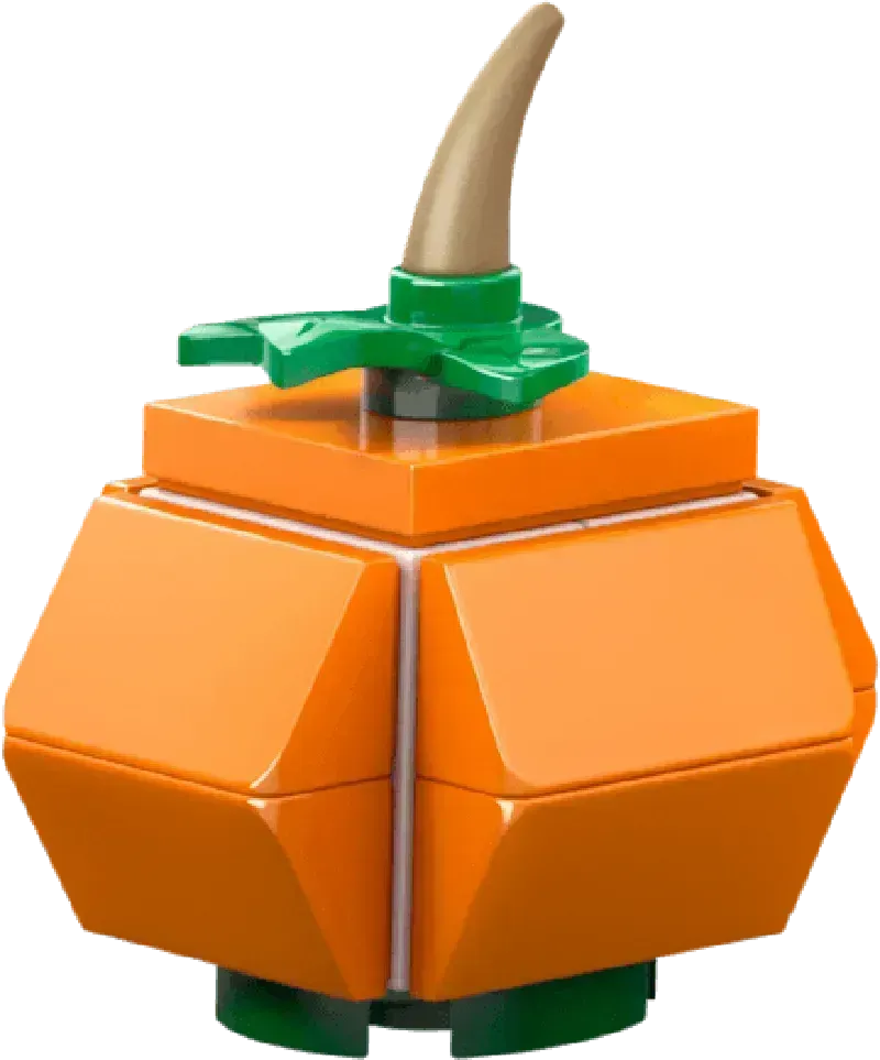 LEGO Seidenschnabel 76427 Harry Potter