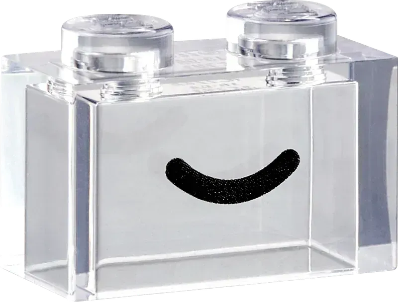 LEGO Transparente Box 11040 Classic