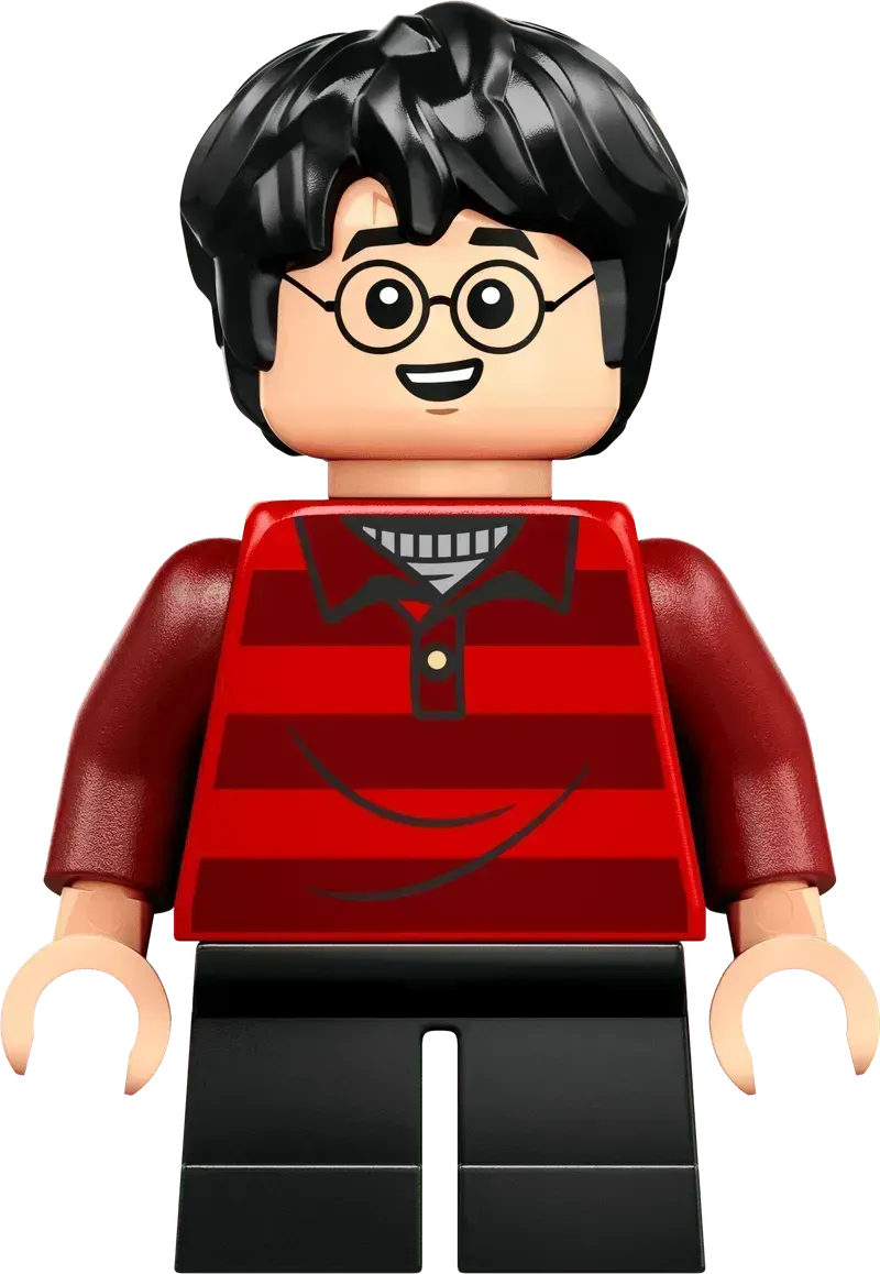 LEGO The Nest – Collector's Edition 76437 Harry Potter
