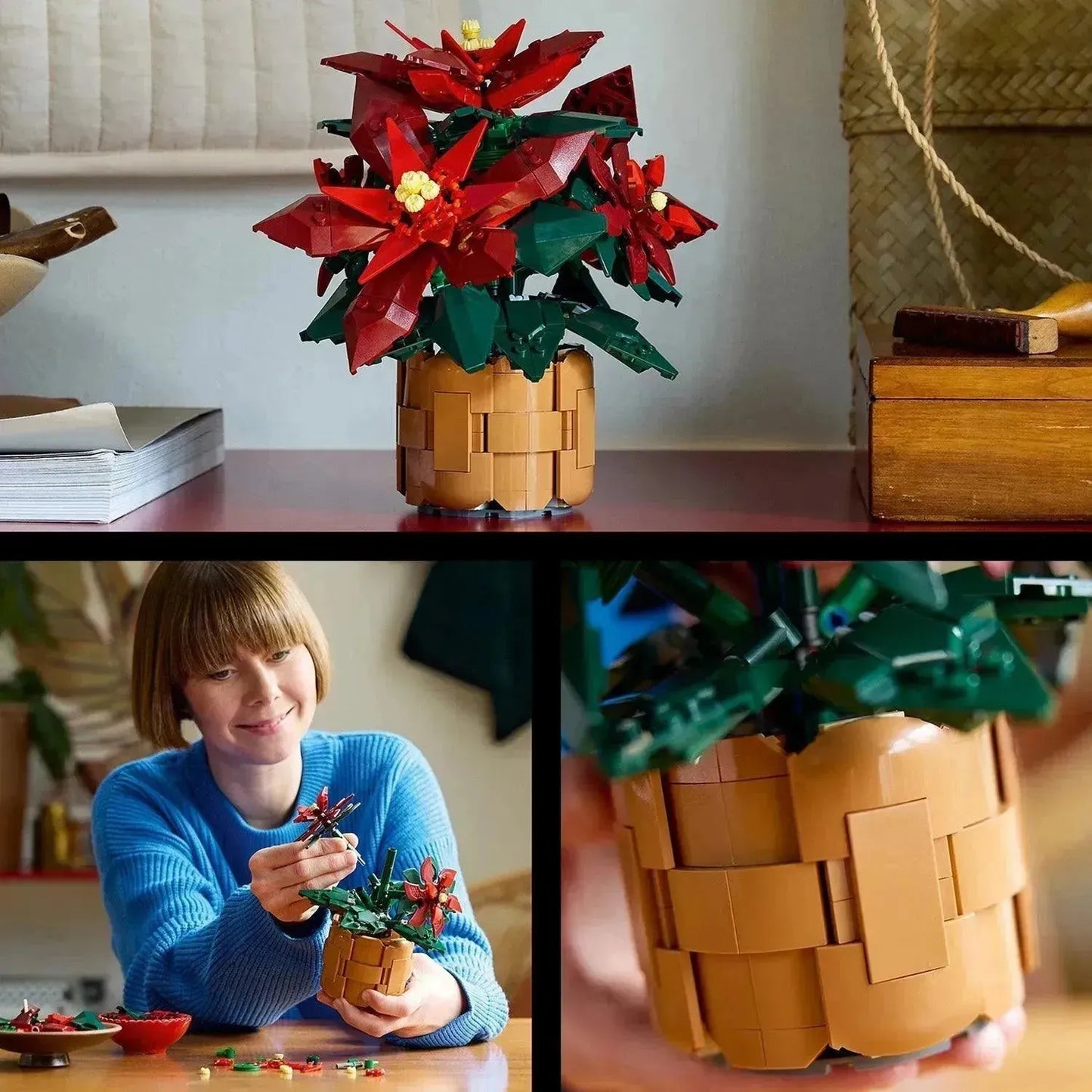 LEGO Weihnachtsstern 10370 Icons