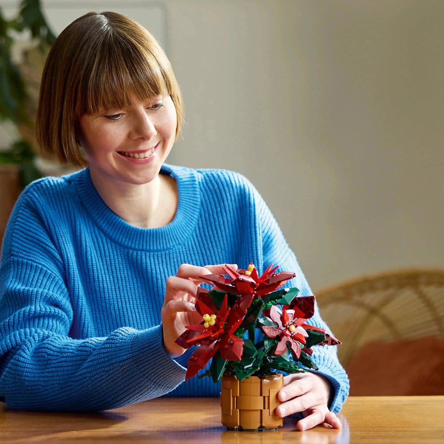 LEGO Weihnachtsstern 10370 Icons