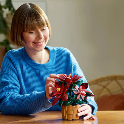 LEGO Weihnachtsstern 10370 Icons