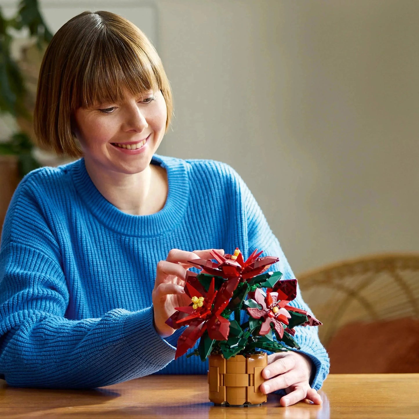 LEGO Weihnachtsstern 10370 Icons