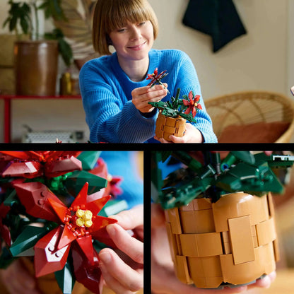 LEGO Weihnachtsstern 10370 Icons