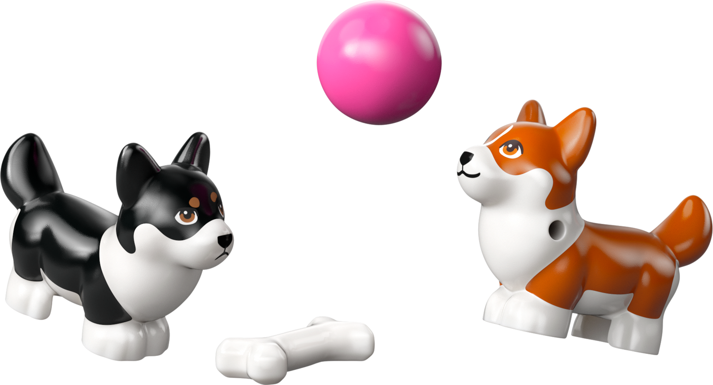 LEGO Surf &amp; Scooter Fun with the Puppies 42641 Friends (Pre-Order: January 2025)