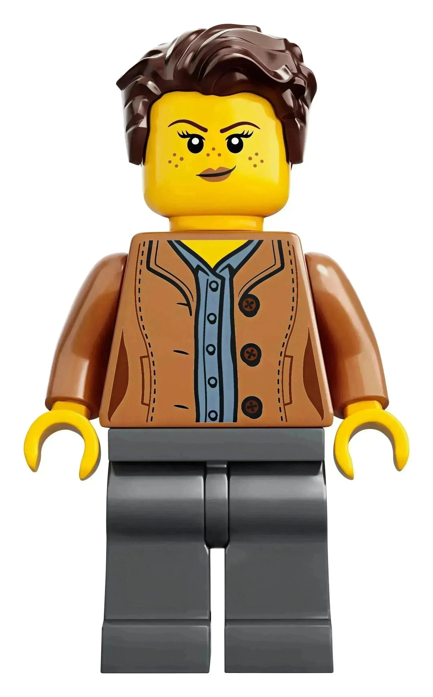 LEGO Boomhuis Boomhut 21318 Ideas (€. 15,00 per week + €. 50,00 borg)