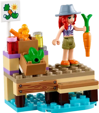 LEGO Houseboat on the canal 41702 Friends