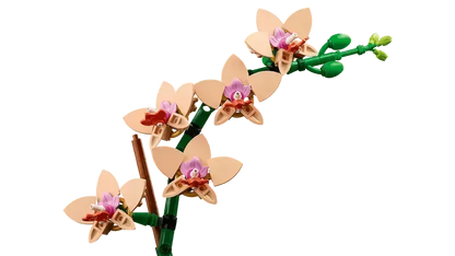LEGO Mini Orchid 10343 Botanical Collection (Delivery: January 2025)
