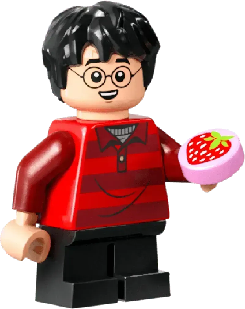 LEGO The Nest – Collector's Edition 76437 Harry Potter